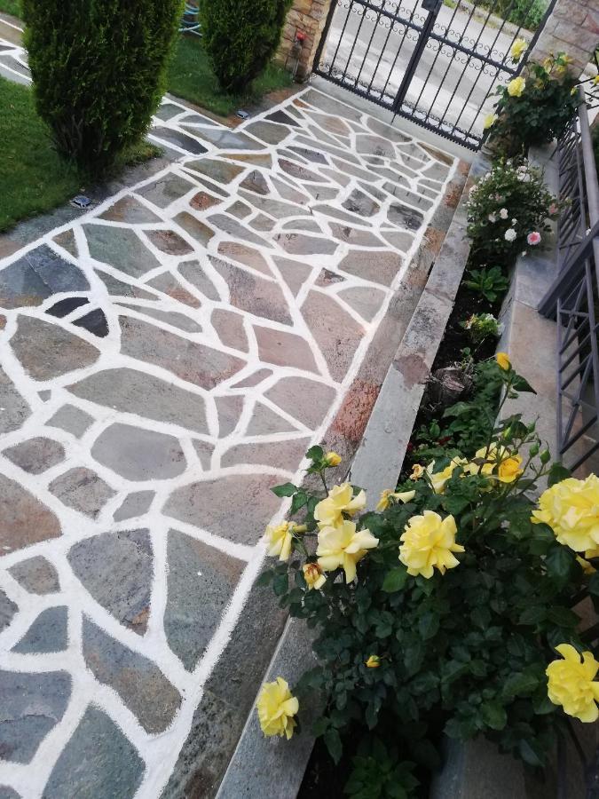 Voula Home -Ioannina-Neokesaria Εξωτερικό φωτογραφία